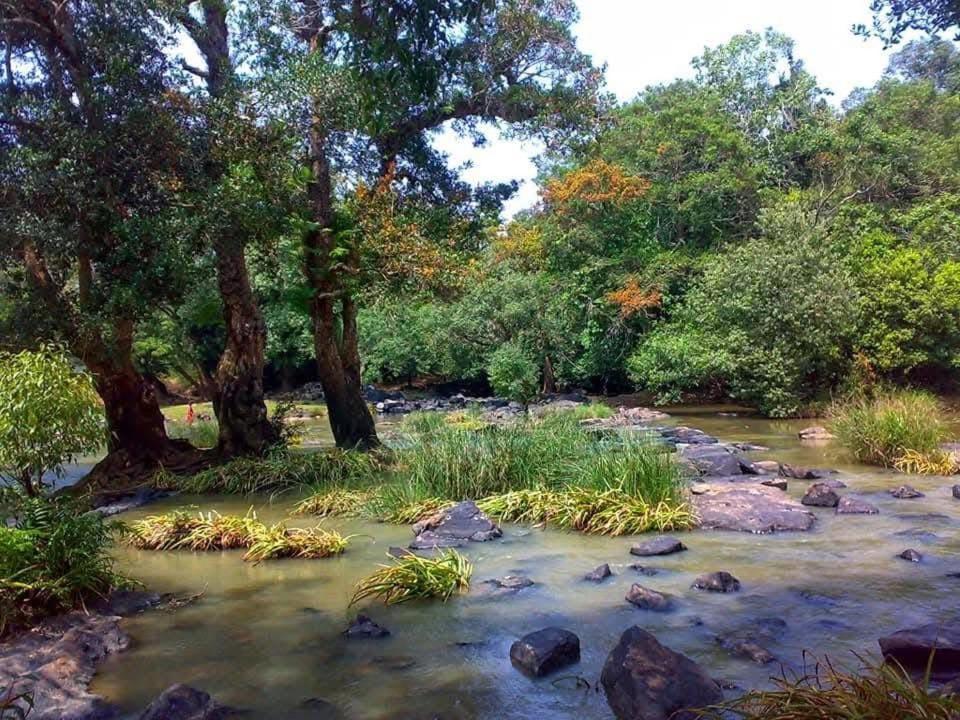 Happydays Hut Villa Mananthavady Dış mekan fotoğraf